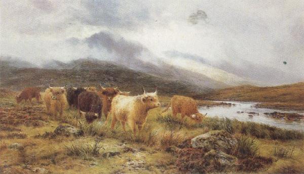 Louis bosworth hurt Highland Cattle on the Banks of a River (mk37) Germany oil painting art